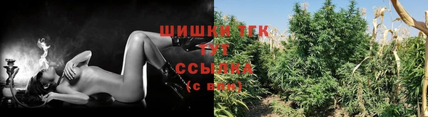прущие крисы Осинники