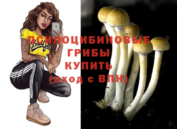 прущие крисы Осинники