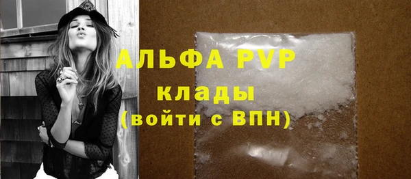 индика Дубна