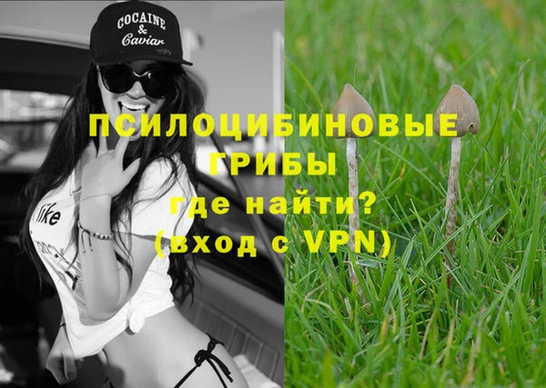 индика Дрезна