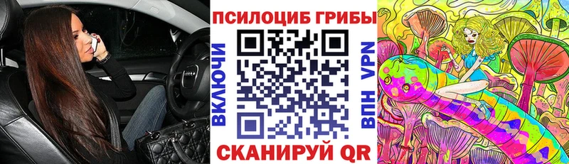цена наркотик  Инсар  Галлюциногенные грибы Psilocybine cubensis 