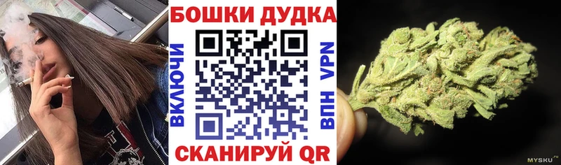 Шишки марихуана план  блэк спрут онион  Инсар 